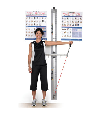TheraBand Professional Wall Exercise Station, Wall Section Only