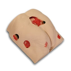Seymour II Wound Care Model