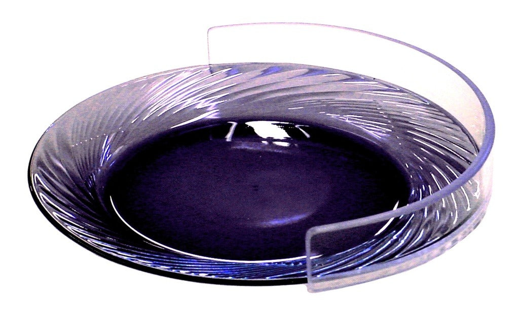 Stainless Steel Plate Guard