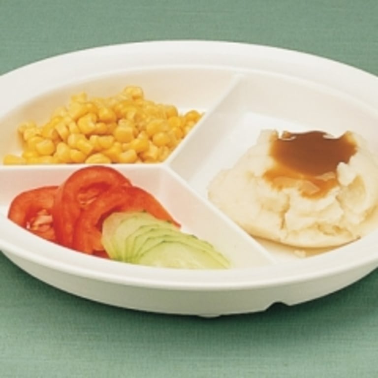 GripWare Partitioned Scoop Dish