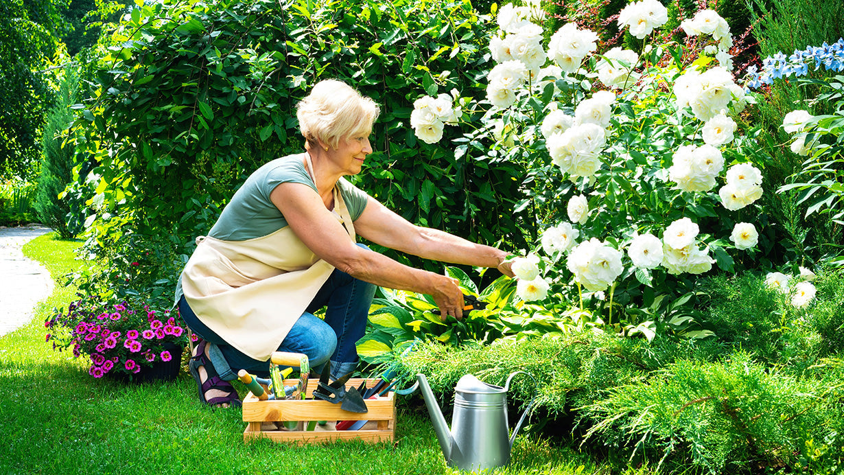 Summer 2025: 10 Low-Lift Activities That Boost Resident Satisfaction in Long-Term Care