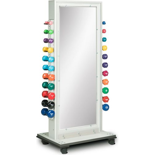 Combo Weight Mirror Rack