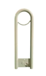 Pivoting Assist Bar