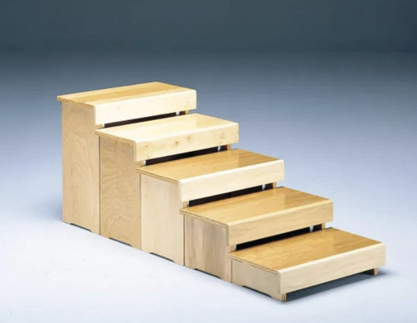 Bailey Wheelchair Training Stools and Steps