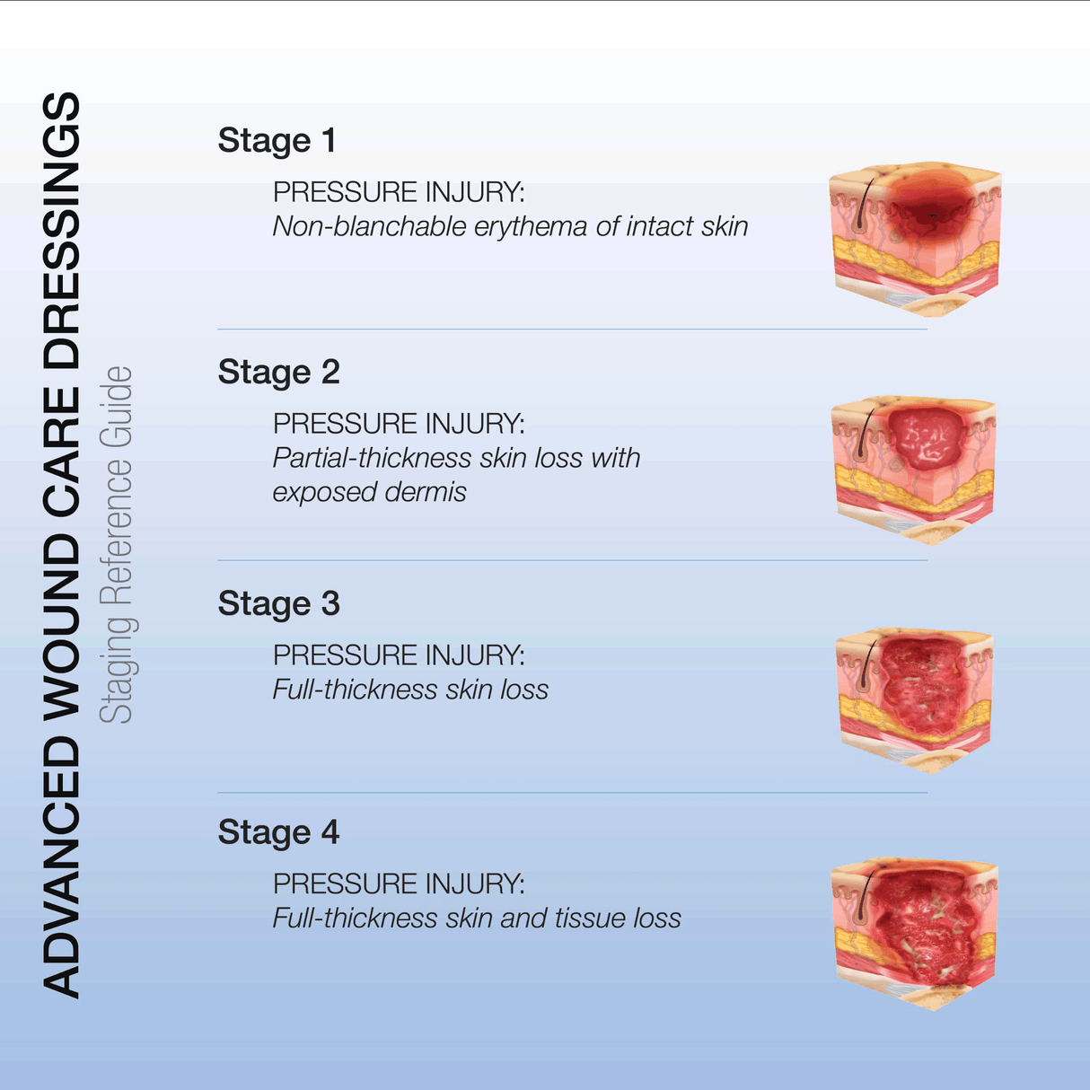 Curafoam Dressing